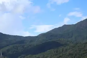 2025-10-00 Tokyo, Japan - Tokyo (57).webp